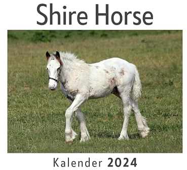 Shire Horse (Wandkalender 2024, Kalender DIN A4 quer, Monatskalender im Querformat mit Kalendarium, Das perfekte Geschenk)
