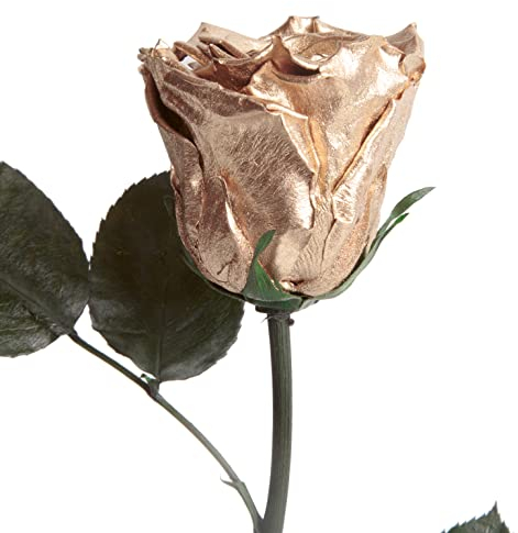 ROSEMARIE SCHULZ Heidelberg Ewige Rose Gold mit Stängel - echte Rose konserviert 30-35cm haltbar 3 Jahre Blumenbox - langlebige Rose 50 Jahre Jubiläum goldene Hochzeit Geschenke (Gold)