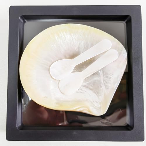 Ensemble de service à caviar - Cuillères à caviar - Ensemble de cuillères en nacre avec emballage cadeau - Pour servir des œufs de caviar et des desserts