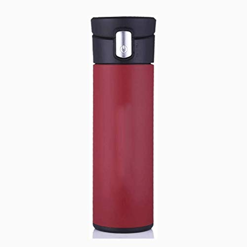 ANSNOW Fruit Infuser Water Bottle Double Walled Tea Infuser Bottle Vacuum Insulated Stainless Steel Water Bottle Vacuum