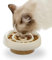 HOME FOOTPRINT - Gamelle Anti Glouton Céramique pour Chat, Anti Vomissement pour Chat avec Support Amovible en chêne, Bol Alimentation Lente pour Chaton, Beige