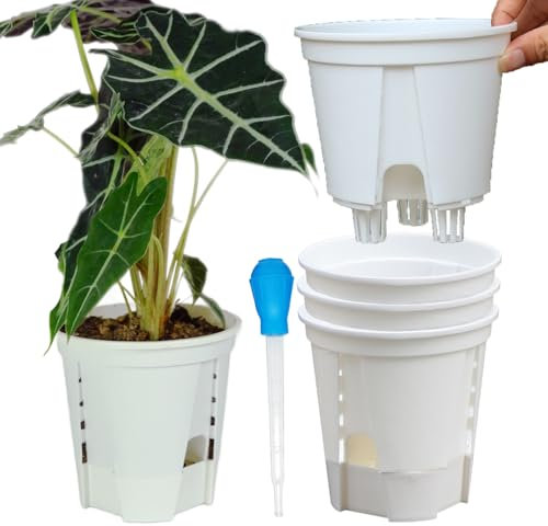 Bouqlife Paquete de 4 macetas de plástico blanco de 6 pulgadas con reserva profunda y agujeros de drenaje para plantas de interior de orquídeas, Aroids, Hoyas, Monstera