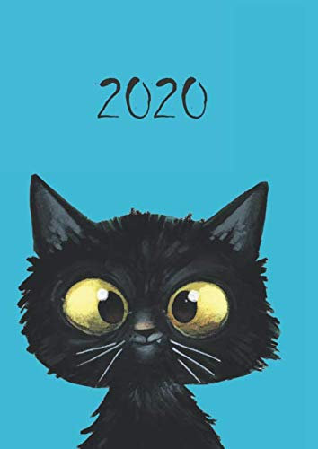 2020: dicker Tagebuch Kalender Katze - 1 Tag = 1 A4-Seite