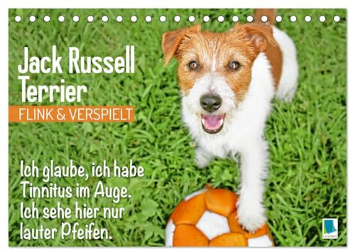 Jack Russell Terrier: flink und verspielt (Tischkalender 2025 DIN A5 quer), CALVENDO Monatskalender: Jack Russell Terrier: Energiebündel, perfekte Sport- und Aktivitätspartner (CALVENDO Tiere)