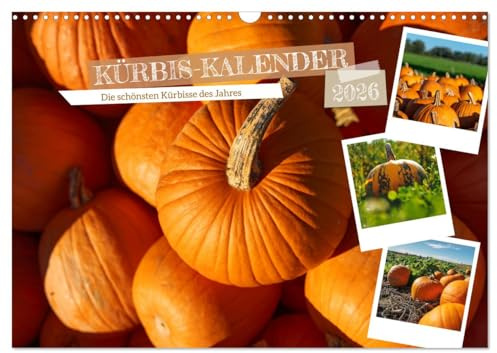 KÜRBIS KALENDER - Die schönsten Kürbisse des Jahres (Wandkalender 2026 DIN A3 quer), CALVENDO Monatskalender: Ein Kalender, der die Schönheit und ... Herbstes und der Erntezeit. (CALVENDO Orte)