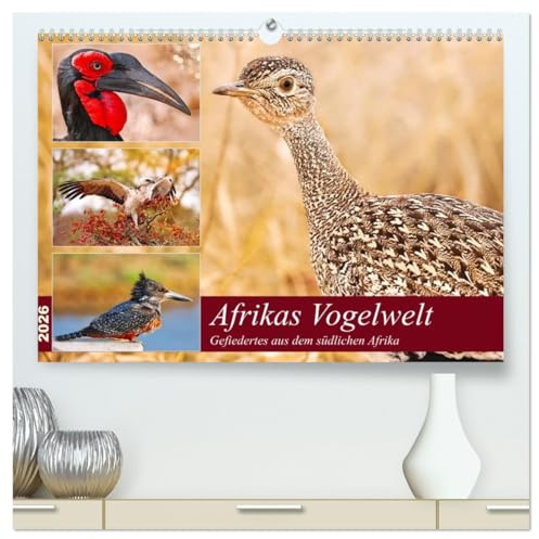 Afrikas Vogelwelt 2026 (hochwertiger Premium Wandkalender 2026 DIN A2 quer), Kunstdruck in Hochglanz: Gefiedertes aus dem südlichen Afrika (CALVENDO Tiere)