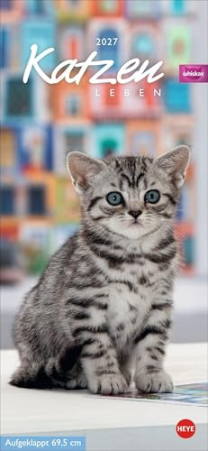 Whiskas Katzenleben Kalender 2027: Süße Kätzchen in allen Lebenslagen in einem Wandkalender zum Eintragen. Immer den Überblick über alle Termine mit dem praktischen Streifenkalender.