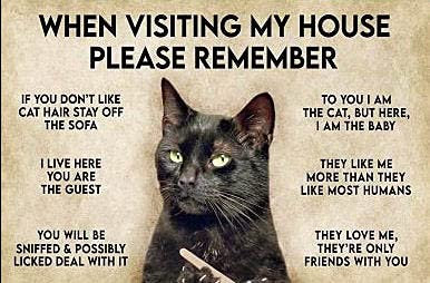 Vintage Wall Poster Metal Plaque Funny Cat Poster When Visiting My House Please Remember Metal Sign Retro Wall Decor for Home Cafes Office Store Pubs Club Sign Gift 6x8 Inch Inch Plaque Tin Sign