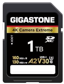 GIGASTONE 1TB SDXC-Speicherkarte, 4K Kamera Extreme, bis zu 160/130 MB/s, für Digitalkameras Canon Olympus, A2 V30 U3 UHS-I Klasse 10, mit 1 Mini-Hülle