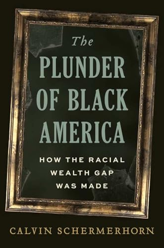 The Plunder of Black America: How the Racial Wealth Gap Was Made