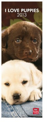 Puppies 2013: Hundewelpen (Slimline-Kalender)