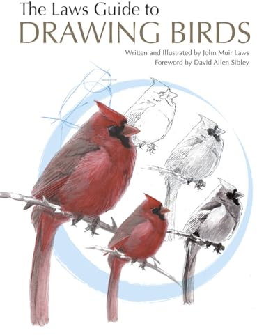 The Laws Guide to Drawing Birds