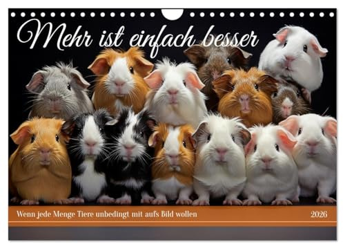 Mehr ist einfach besser (Wandkalender 2026 DIN A4 quer), CALVENDO Monatskalender: Von geliebten Tieren kann man nicht genug haben (CALVENDO Tiere)