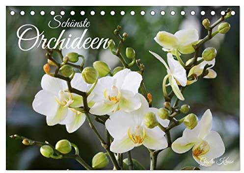 Schönste Orchideen (Tischkalender 2026 DIN A5 quer), CALVENDO Monatskalender: Fantastische Orchideenblüten, gelungen in Szene gesetzt (CALVENDO Natur)