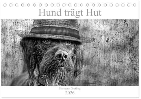 Hund trägt Hut (Tischkalender 2026 DIN A5 quer), CALVENDO Monatskalender: Hunde mal anders, lustig und farbenfroh (CALVENDO Tiere)