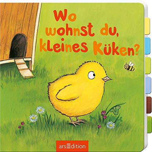 Wo wohnst du, kleines Küken?: Aufklappbuch (Klapp um-schau rein!)