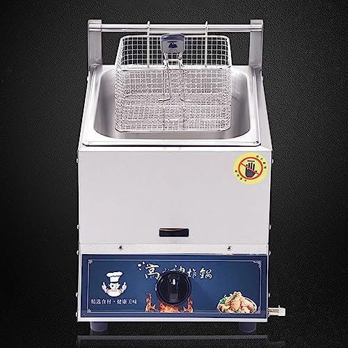 WOTZOV Friteuse à gaz à Double Cylindre, Profondeur Commerciale 10 LX 2, avec bac à épices, Facile à Nettoyer, économie d'énergie, avec paniers et couvercles,10L