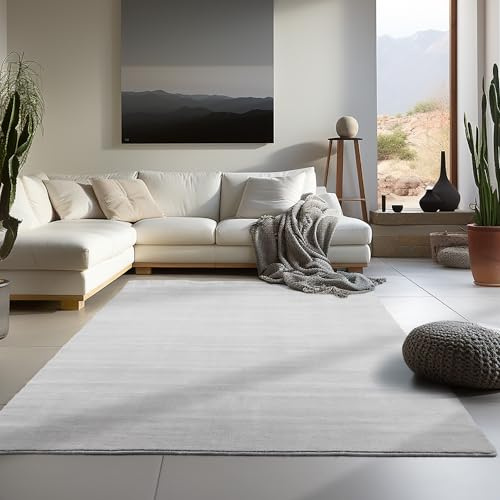 Carpetsale24 Waschbarer Teppich Kurzflor 240x340 cm Silber Modern Einfarbig Weich rutschfest Pflegeleicht Maschinenwaschbar für Wohnzimmer Schlafzimmer Esszimmer XL Groß