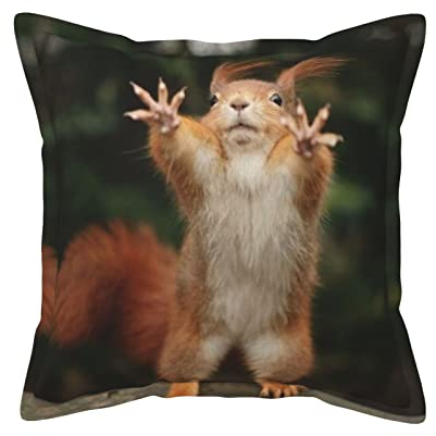 KIROJA Luxuriöses Kissen mit Eichhörnchen-Motiv, mit Kisseneinsatz, Sofakissen, für drinnen und draußen, Sofa, Bett, Deko-Kissen