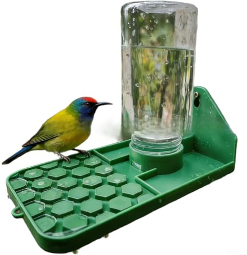 Outdoor Water Dispenser Green Hanging Feeder For Walls And Trees Featuring Anti Drowning Grooves And For Clear Water View Constructed From Thickened For Pla For Yard And Garden Care