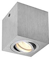 SLV TRILEDO Single, Indoor Deckenaufbauleuchte, QPAR51, alu br., max 10W
