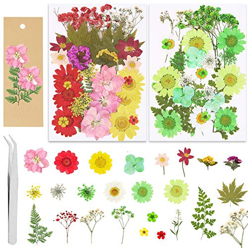 Set aus 65 getrockneten gepressten Blumen, mehrere getrocknete Blütenblätter, Blütenblätter mit 5 Lesezeichen und Pinzetten für Kunst, Kerzen, Basteln, Kunstharz, Schmuck, Nagelkunst