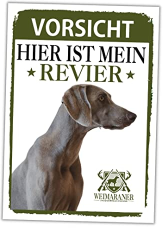 Weimaraner Schild Revier Jagd Türschild Hundeschild Warnschild Hund Weim Grey Ghost Vorstehhund Geschenkidee lustiger Spruch Hundemotiv Aluminium Wetterfestes Hundeschild