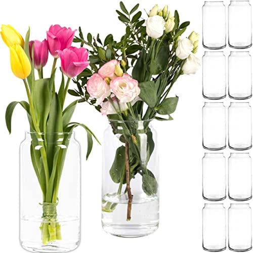 Giessle® 12 Stück 20cm Glasvasen mit Hals - für Elegante Blumenarrangements, Vasen Set Tischvasen Blumenvase, aus Glas