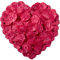 CO-RODE Lot de 1200 pétales de rose en soie pour décoration de mariage, rouge foncé