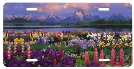 Schöne Blumen Berg Gedruckt Nummernschild Aluminium Auto Tag Auto Front Nummernschild Dekor Für LKW Rv Suv