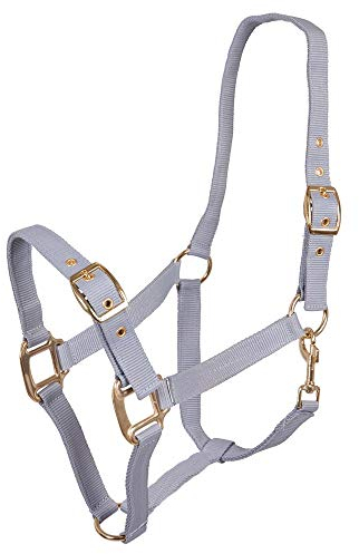 Premiere Nylon-Halfter PP 2fach verstellbar Karabiner goldfarb. Beschläge (Pony, Grau)