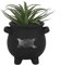 *Triple Moon Cauldron Plant Pot (12/24)