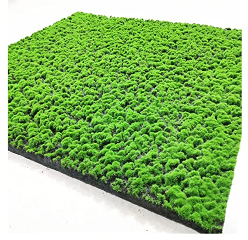 Aoisavch Tappeto Muschio Muschio Artificiale, Piante Verdi finte Fai-da-Te Muschio Finto for Forniture di Decorazioni for Soggiorno Parete Giardino in Erba (Color : AA, Size : 3.28'x3.28'/1x1m)