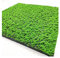 Aoisavch Tappeto Muschio Muschio Artificiale, Piante Verdi finte Fai-da-Te Muschio Finto for Forniture di Decorazioni for Soggiorno Parete Giardino in Erba (Color : AA, Size : 3.28'x3.28'/1x1m)