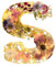 EHOTER Florales Harz Nachtlicht Harz Buchstaben mit Blumen, Floral Harz Nachtlicht Brief Floral Resin Buchstaben mit Blumen Geschenk für Mama Frau Freundinnen (S)