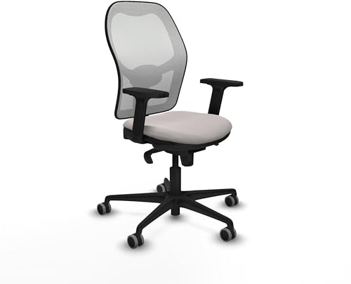 Piqueras y Crespo Ergonomischer Jorquera Stuhl mit fester Rückenlehne, 1D-Lendenwirbelstütze, 2D-Arme, Synchronmechanik in 5 Positionen, ideal für 8 Stunden Nutzung und maximales Gewicht von 120 kg