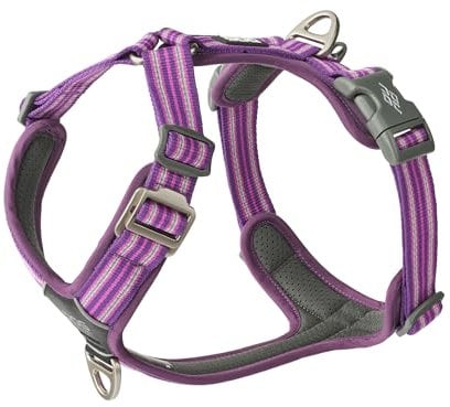 DOG Copenhagen Comfort Walk Air 3.0 Hundegeschirr - Geschirr für Hunde - Welpengeschirr, Purple Passion, XL