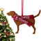 Fenhua Labrador Retriever Acryl 2D Weihnachtsschmuck, Frohe Weihnachten Weihnachtsbaumschmuck, Personalisierte Weihnachtsschmuck 2023, Hund Haustier Geschenk Andenken Neujahrsgeschenke Für Familie