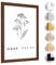 HaakDesign Bilderrahmen Tokio in Braun (matt) 40 X 60 cm schlicht modern