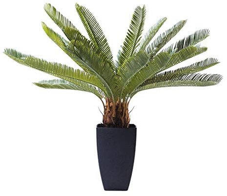 Kare Design Deko Pflanze Cycas Tree, Braun/Grün, Kunstpflanze, Kunstpalme, Dekoration, Pflegeleicht, Bad, Schlafzimmer, Küche, Wohnzimmer, 80x42x22 cm (H/B/T)