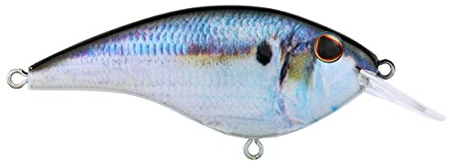 Berkley Frittside Fishing Hard Bait, HD Threadfin Shad, 2 4/5 Zoll – 5 Biggun' (3/7 oz)