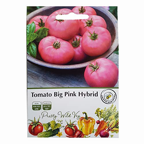 Pictorial Packet Big Pink Tomato F1 Seeds by Pretty Wild Seeds