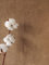 NEWROOM Papier peint Marron Couleur Unie Intissé - Couleurs Unies Ocre Béton Texture Moderne