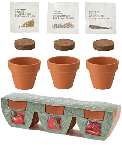 Mini trio de pots en argile avec graines de légumes tomate fraise piment et noix de coco - Cadeau parfait pour les amis et la famille