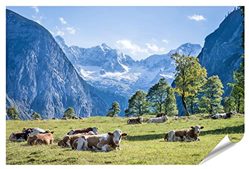 islandburner XXL Bild Poster Kühe Auf Wiese In Den Bergen Alpen Kuhwiese Premium Bilder Fotodruck