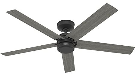 Hunter Fan Company 52247 Burton Ventilador de techo, negro mate