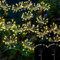 Joysing Gartendeko Solar Gartenleuchte Außen, 2 Stück 160 LED Gartenleuchten Solar, 8 Modi Glühwürmchen Solar Wasserdicht Solarleuchten Feuerwerk Solar Pusteblume für Terrasse Rasen Garten Deko