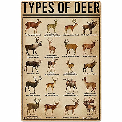 Types of Deer Knowledge Blechschilder aus Metall, Vintage-Poster, Bar, Zuhause, Badezimmer, Metallschilder, Eisenmalerei, Wanddekoration, 20,3 x 30,5 cm, Club-Plaketten