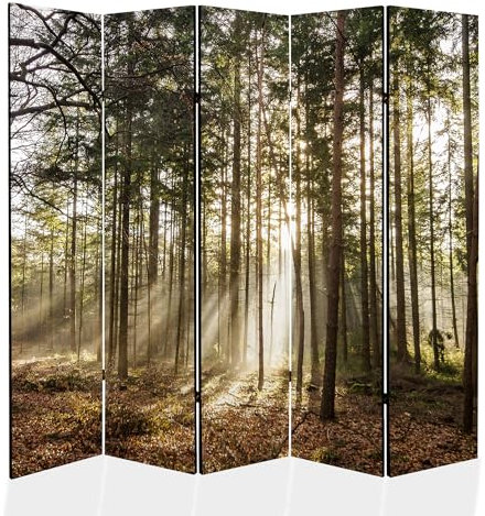 framed concept - Paravent Raumteiler Holz 225x172 cm, 5-teilig beidseitig, Sichtschutzwand