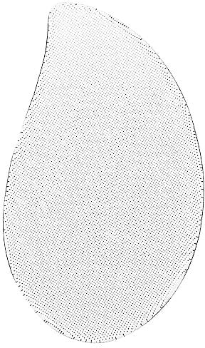 CALLARON Fußfeile Multifunktions-pediküre-peelingbrett Für Hornhautentfernung Fußpflegefeile Mit Kompaktem Design Für Tägliche Anwendung